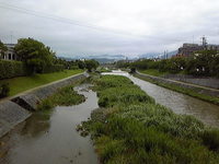 DVC00351.jpg